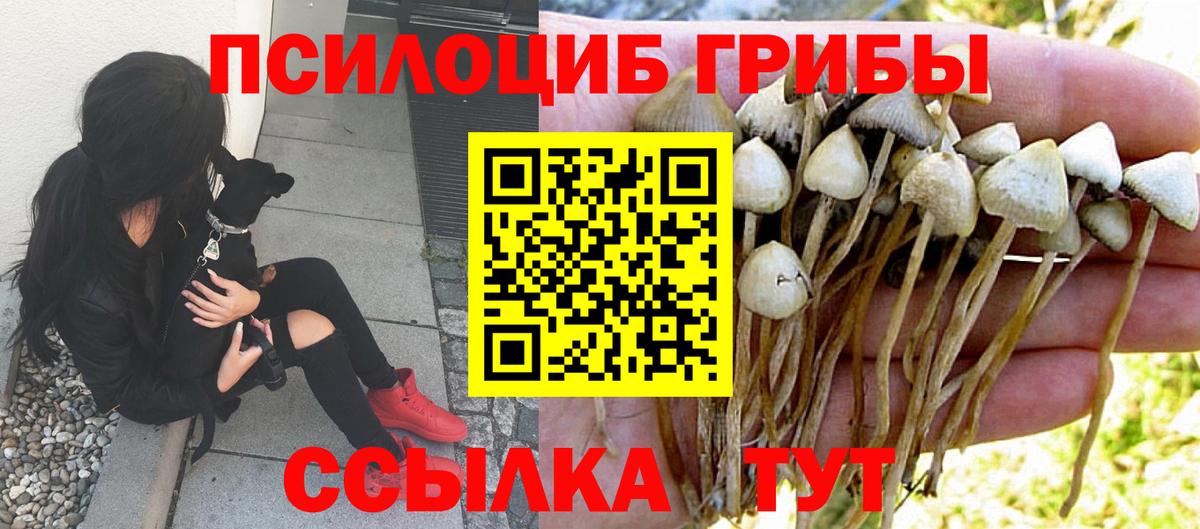 Псилоцибиновые грибы Magic Shrooms  Галлюциногенные грибы Psilocybe  Славгород  Вход с VPN 